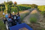 Solis Kompakttraktor 26 mit Seitenschaltung Grundmaschine ohne Bereifung - Image 3