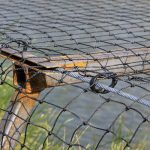 Vogelschutznetz