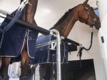 Humbaur Maximus 2700 - Image 2